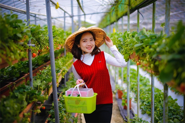 黄金多头占据主导 美债市场异常表现加剧美元压力
