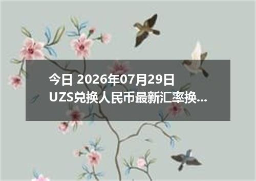 今日 2026年07月29日 UZS兑换人民币最新汇率换算行情